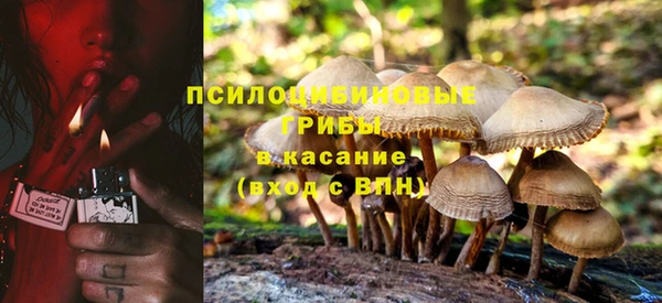 прущие грибы Армянск