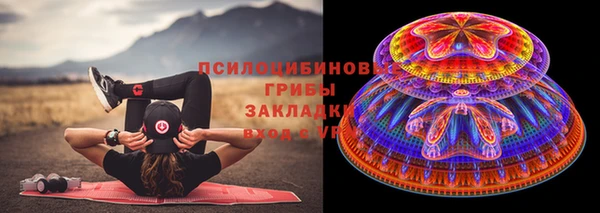 ПСИЛОЦИБИНОВЫЕ ГРИБЫ Арсеньев