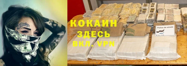 ПСИЛОЦИБИНОВЫЕ ГРИБЫ Арсеньев